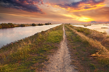 44177049 - picturesque landscape at sunset of the wetland, a long straight path across the lagoon in the natural reserve valli di comacchio, near ferrara, emilia romagna, italy